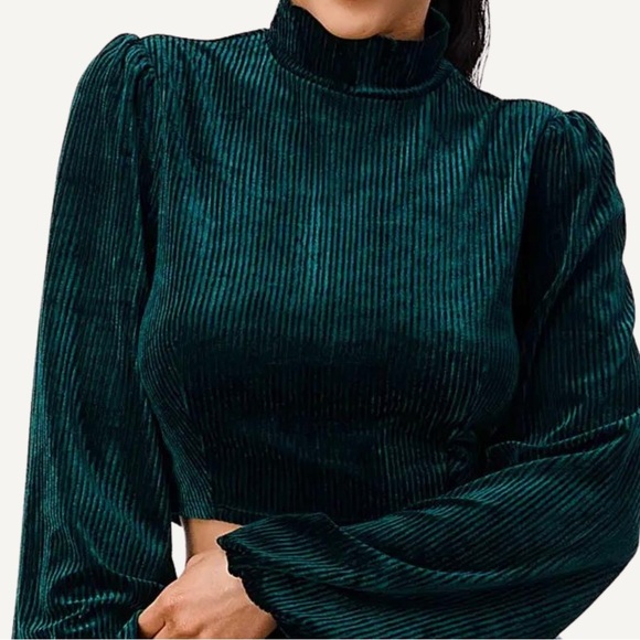 Emerald Green Velvet Crop Top - Picture 4 of 4